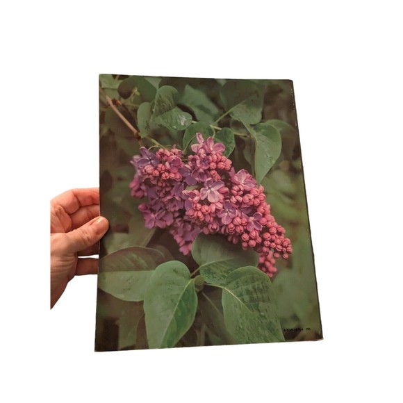 Lot of 2 ideals Magazines Mothers Day Vol #42, No.3 & No. 6 Poems & Stories VTG - Picture 6 of 16